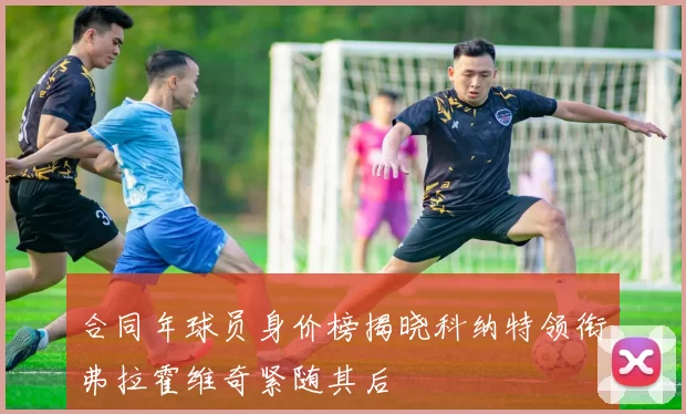 合同年球员身价榜揭晓科纳特领衔弗拉霍维奇紧随其后