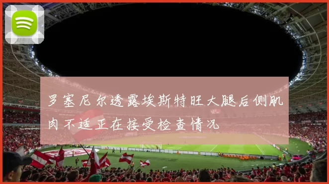 罗塞尼尔透露埃斯特旺大腿后侧肌肉不适正在接受检查情况